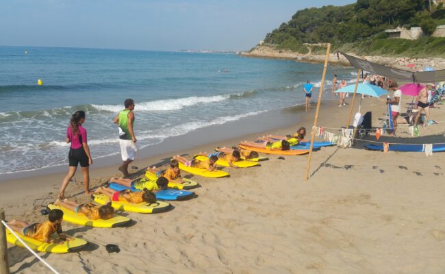 Teorica practica de surf