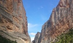 Abonament Paddle Surf 5